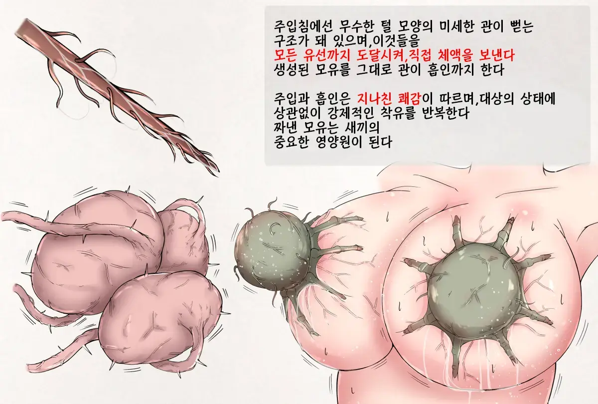 Insect Research Report EX